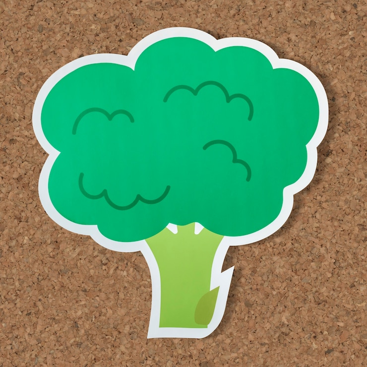 Gratis Foto brocolli antioxidant veganistisch voedsel icoon