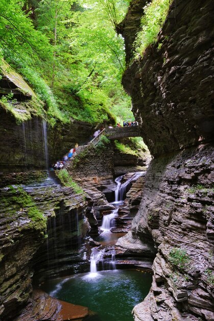 Brug in bos met waterval