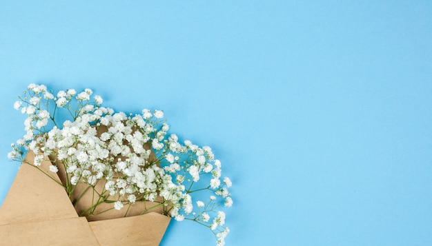 Gratis foto bruin omhulsel met kleine witte gypsophila bloemen die op hoek van blauwe achtergrond worden geschikt