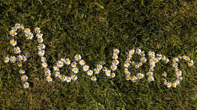 Buiten bloemen