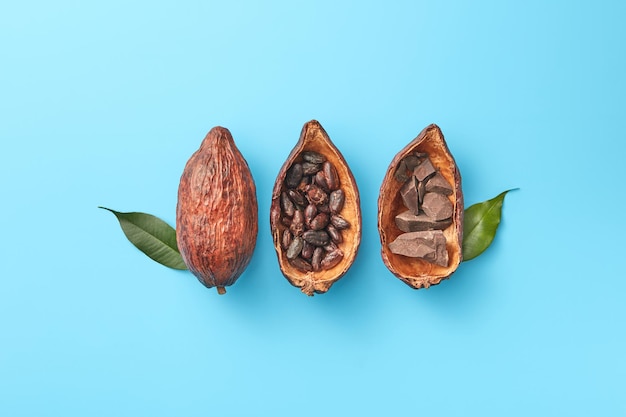Cacaopods met chocolade en bonen