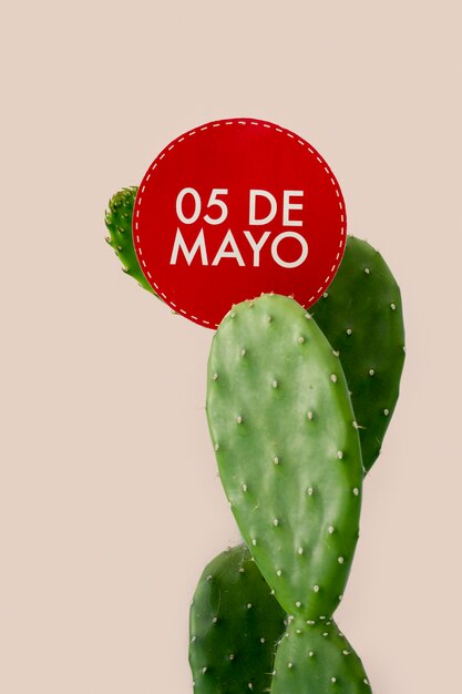 Cactus en 5 mei ondertekenen Mexicaanse partij