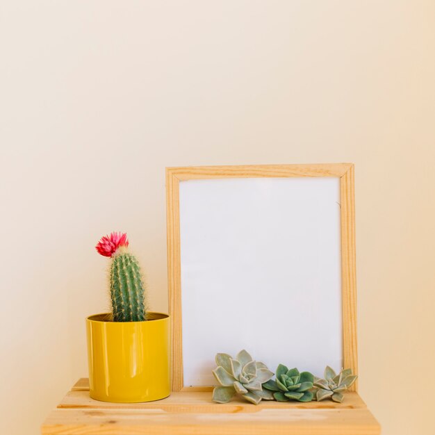 Cactus en frame
