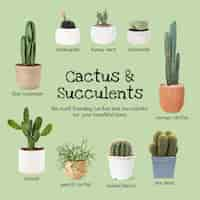 Gratis foto cactus en vetplanten gids