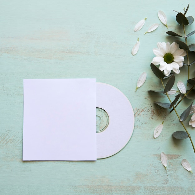 Gratis foto cd mockup en bloem