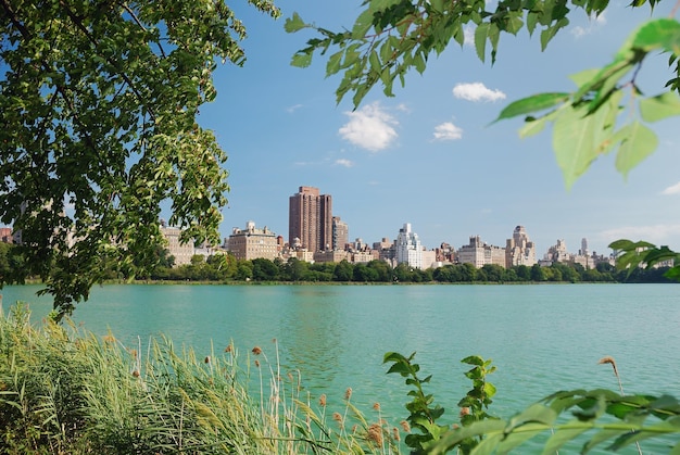 Gratis foto central park meer bomen