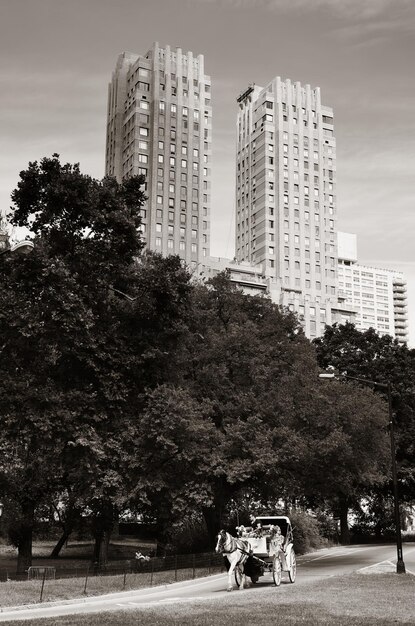 Central Park Spring en paardenkoets in het centrum van Manhattan, New York City