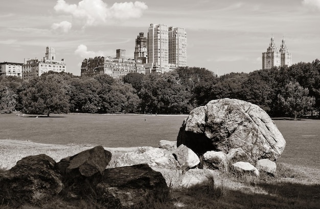 Gratis foto central park spring met skyline in het centrum van manhattan, new york city