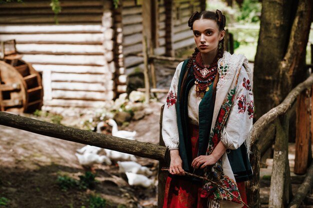 Charmant Oekraïens meisje in een geborduurde jurk