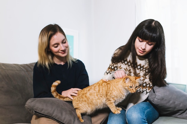 Charmante meisjes die met kat knuffelen