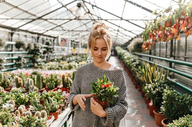 Charmante vrouw in gebreide jurk met pot met bloem. vrouw loopt langs steegje van serre.