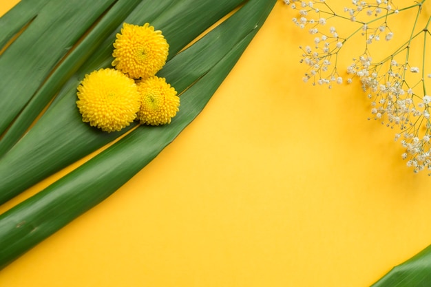 Gratis foto chrysant en gewone baby's-adem bloemen op groene bladeren tegen gele achtergrond