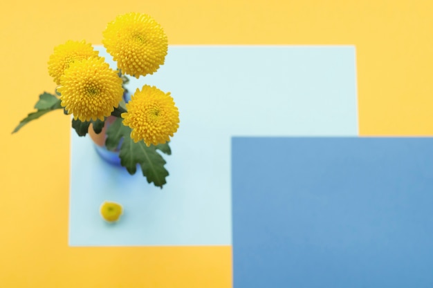 Chrysanthemum-bloemen in vaas over de gekleurde achtergrond