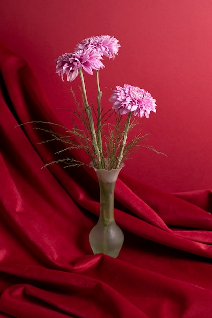 Chrysanthemum in vaas met rode achtergrond