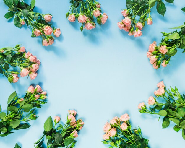 Circulaire frame gemaakt met bos rozen op blauwe achtergrond