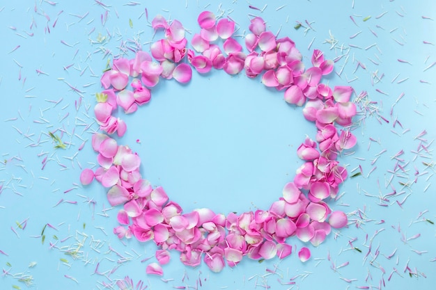 Circulaire frame gemaakt met rozenblaadjes op blauwe achtergrond