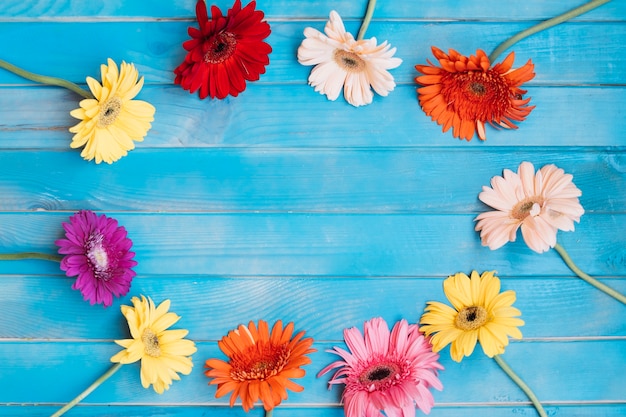 Cirkel gemaakt van kleurrijke bloemen