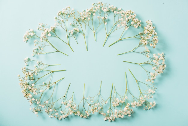 Cirkel van witte bloemen
