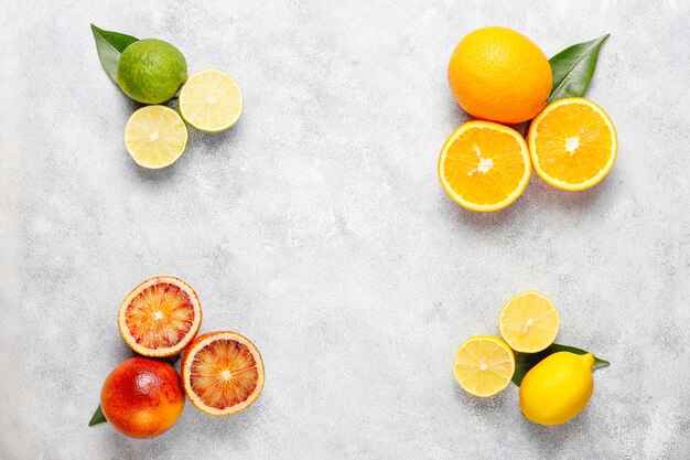 Citrus achtergrond met diverse verse citrusvruchten