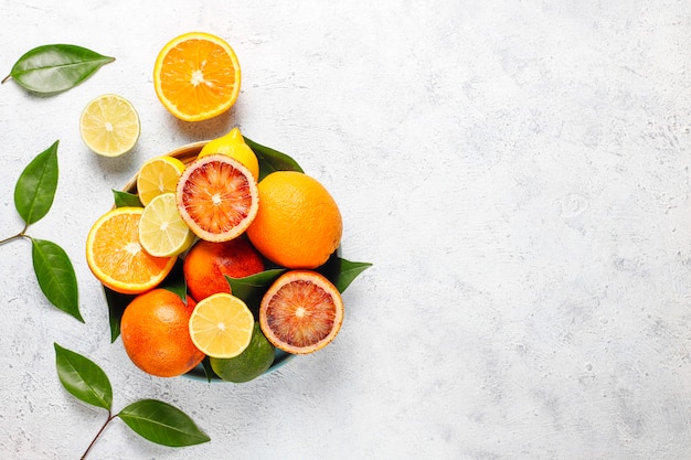 Citrus achtergrond met diverse verse citrusvruchten