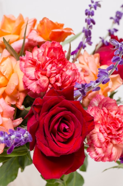 Close-up assortiment van schattige rozen