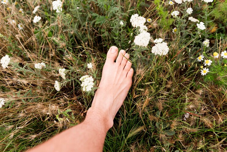 Gratis Foto close-up beeld van de natuur concept