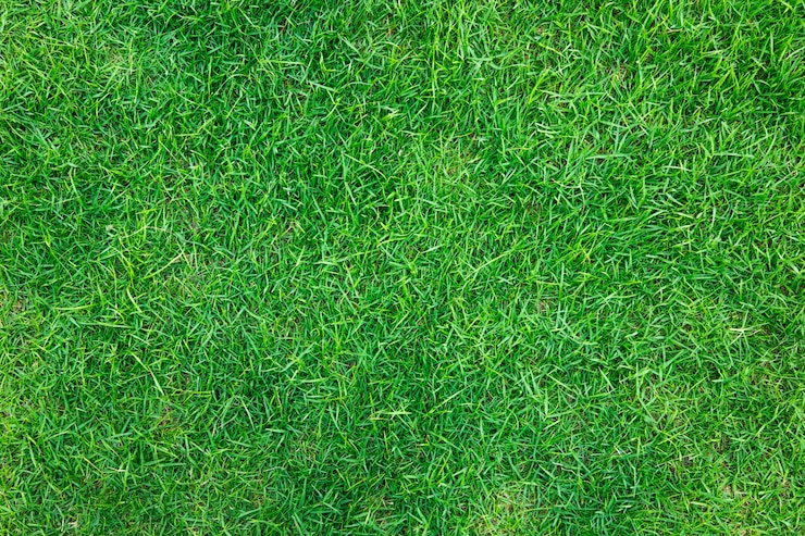 Gratis Foto close-up beeld van verse lente groen gras