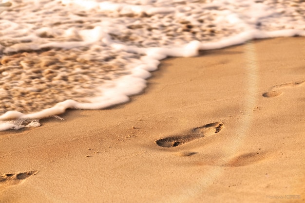 Close-up die van voetafdrukken in een zandige oppervlakte dichtbij het strand overdag is ontsproten