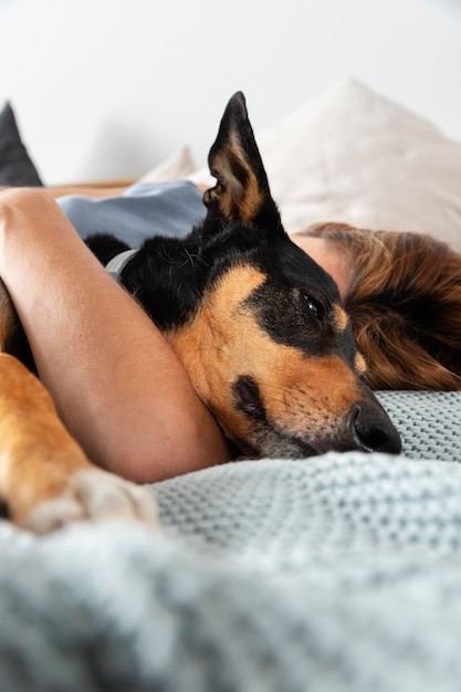 Close-up eigenaar en hond in bed