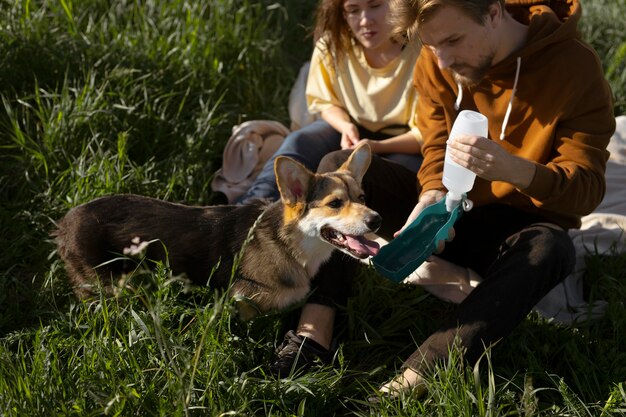 Close-up eigenaren die honden water geven