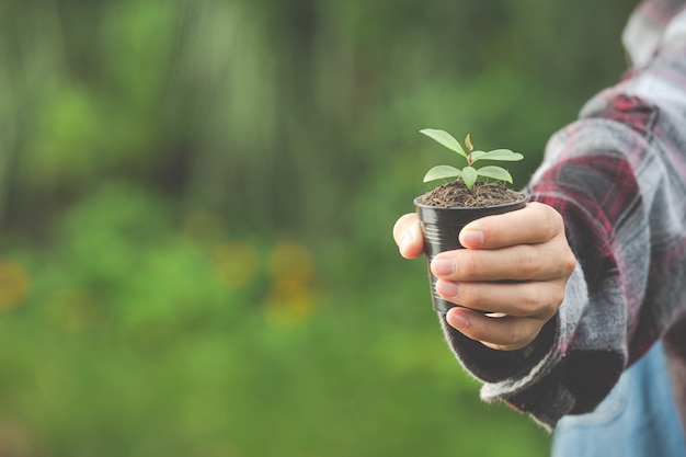 Close-up foto van hand met plant