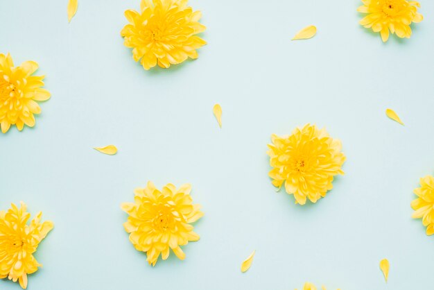 Close-up gele bloemen