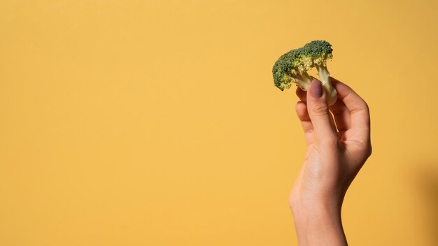 Close-up hand met broccoli