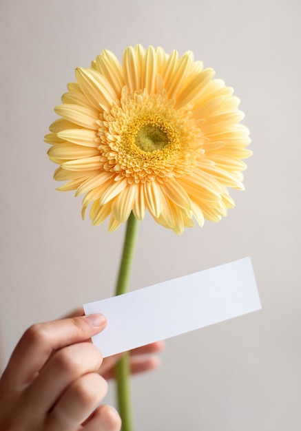 Close-up hand met gele bloem en notitie