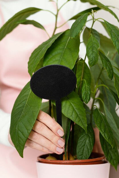 Close-up hand met plant