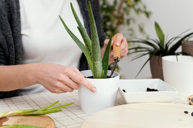 Close-up handen bodem aanbrengend pot