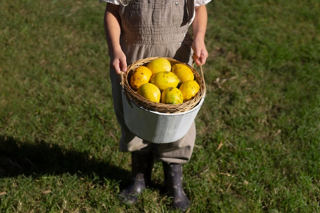 Gratis foto close-up handen met emmer met fruit