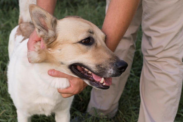 Gratis foto close-up handen met smiley hond