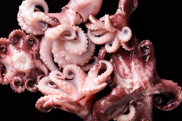 Close-up heerlijke octopus op tafel