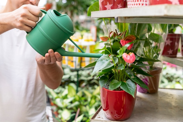 Gratis foto close-up individuele planten water geven