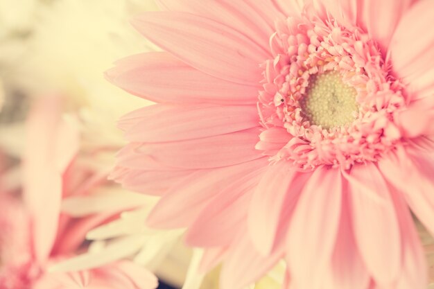 Close-up macro bloem