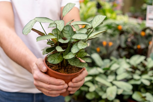 Gratis foto close-up man met kamerplant