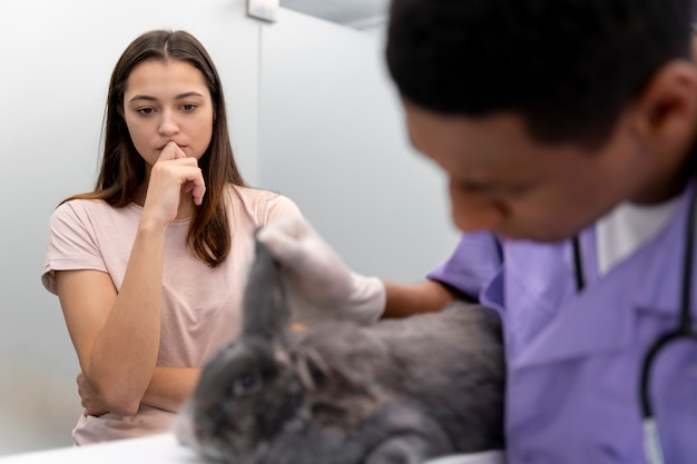 Close-up op dierenarts die voor huisdier zorgt