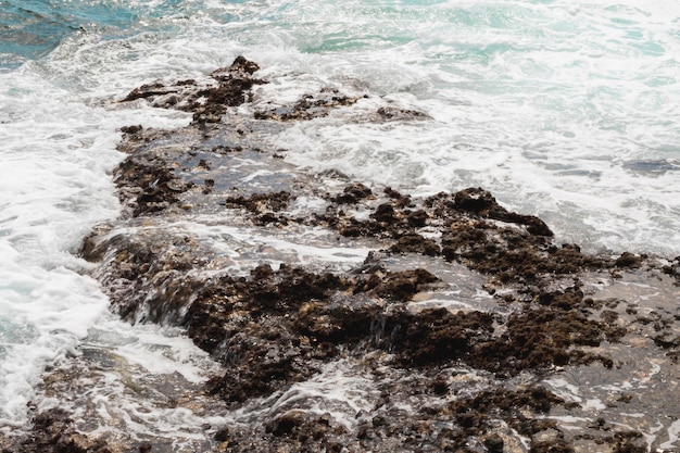 Close-up rotsachtige kust met kristallijn water