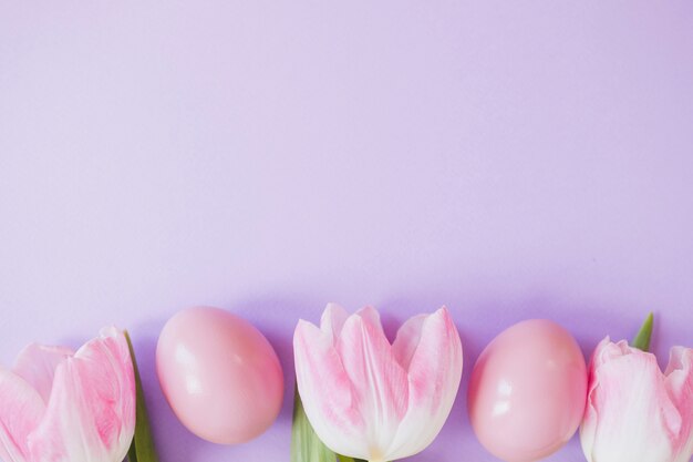 Close-up roze tulpen en eieren