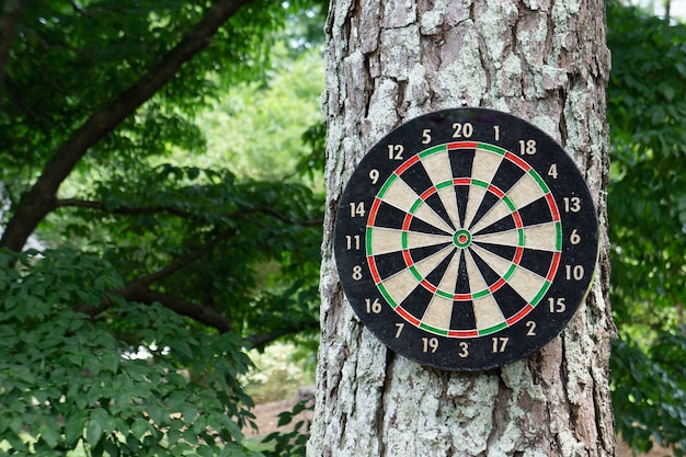 Gratis foto close-up shot van darts op een kofferbak