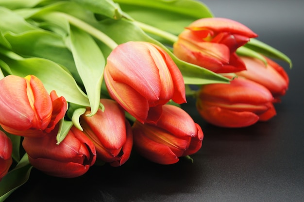 Close-up shot van een boeket oranje rozen genomen in een studio