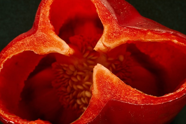 Close-up shot van een gesneden rode paprika