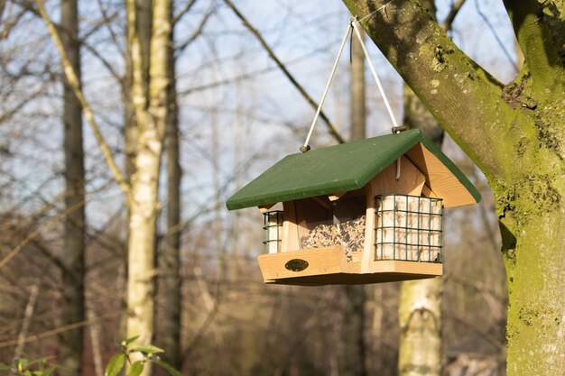 Close-up shot van een hangende vogelvoeder in de vorm van een huis