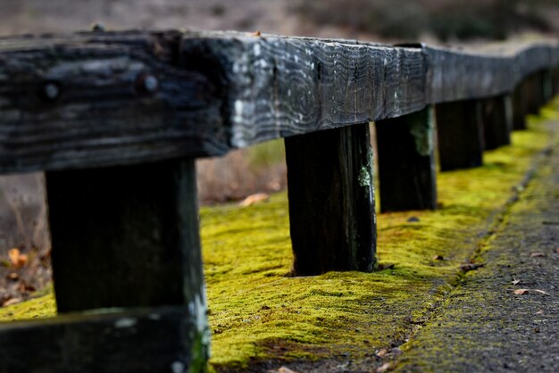 Close-up shot van een houten reling met geel mos eronder